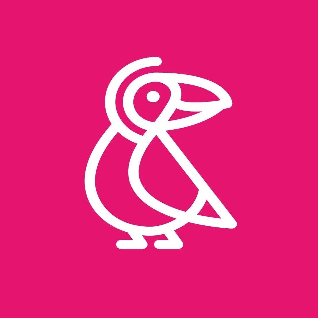 Pájaro
